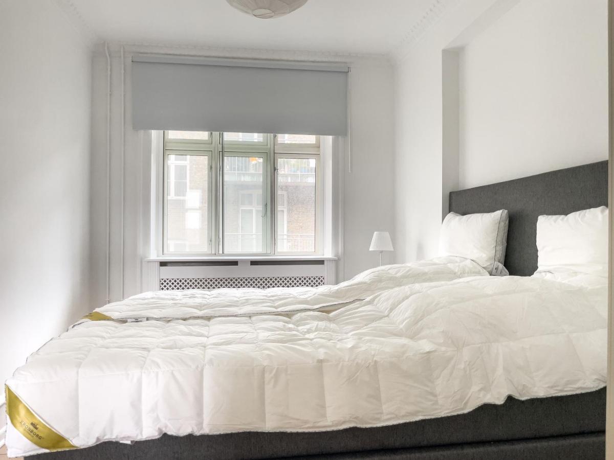 Apartment Stylish Classic Danish Design