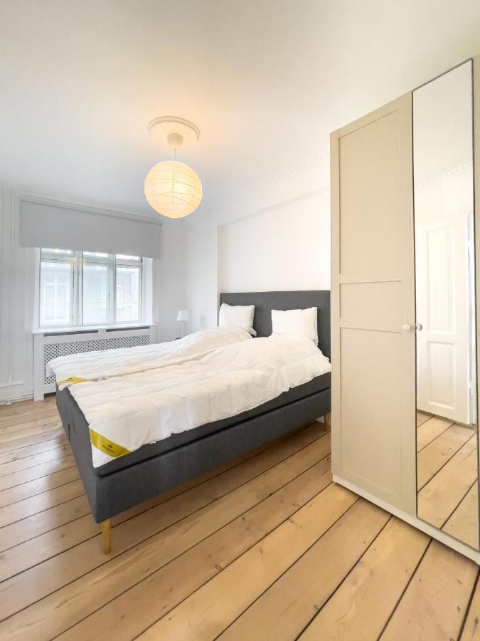 Apartment Stylish Classic Danish Design